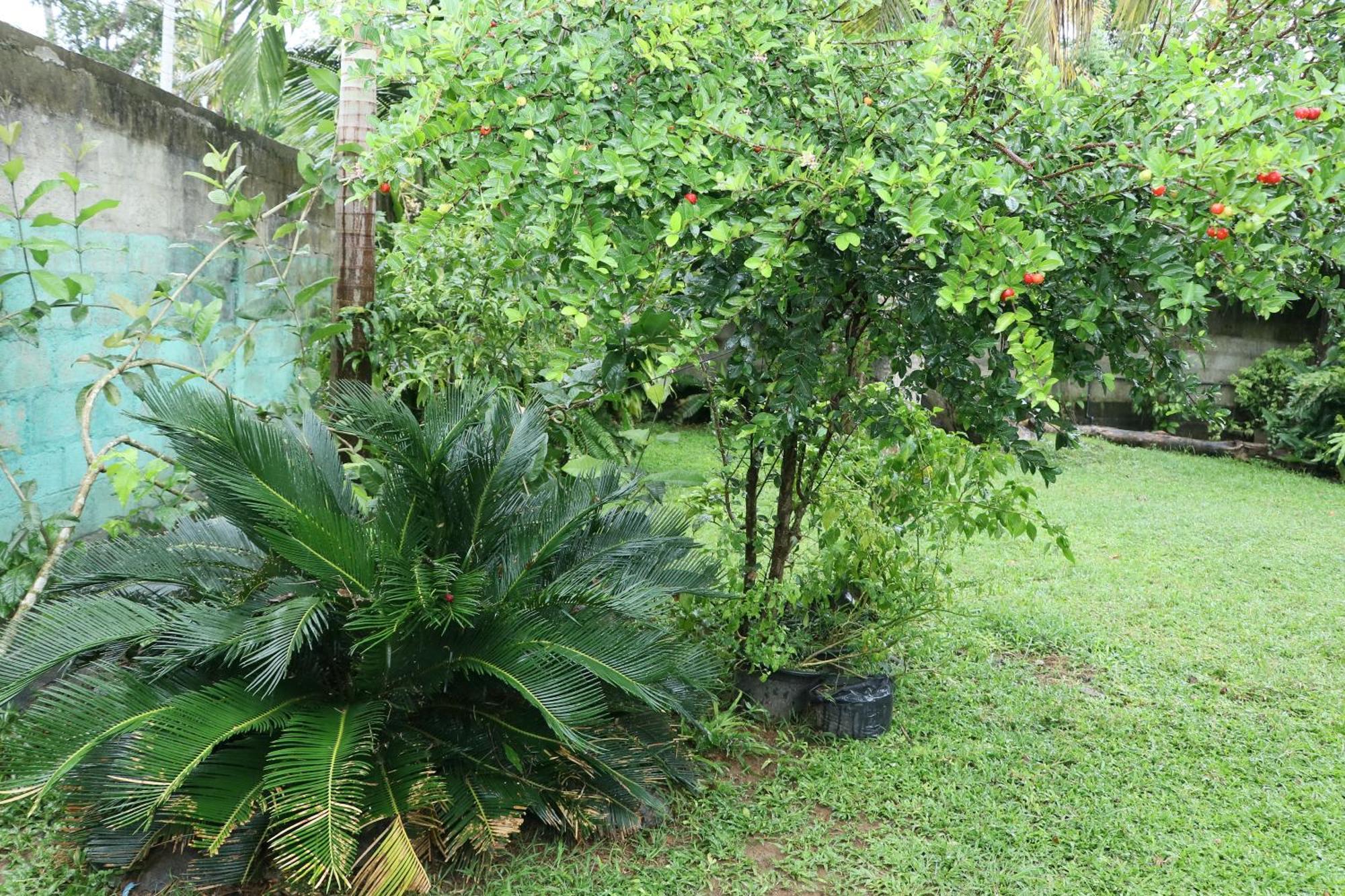 Sheru Guest Matara Exterior photo
